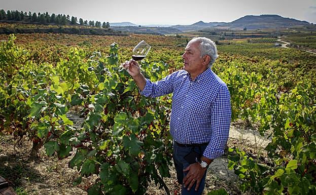 Juan Luis Cañas observa uno de sus vinos entre las viñas de su bodega. 