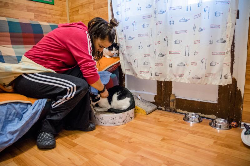 Fotos: La esperanza de los gatos sin hogar