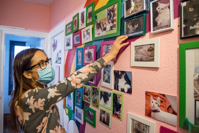 Fotos: La esperanza de los gatos sin hogar