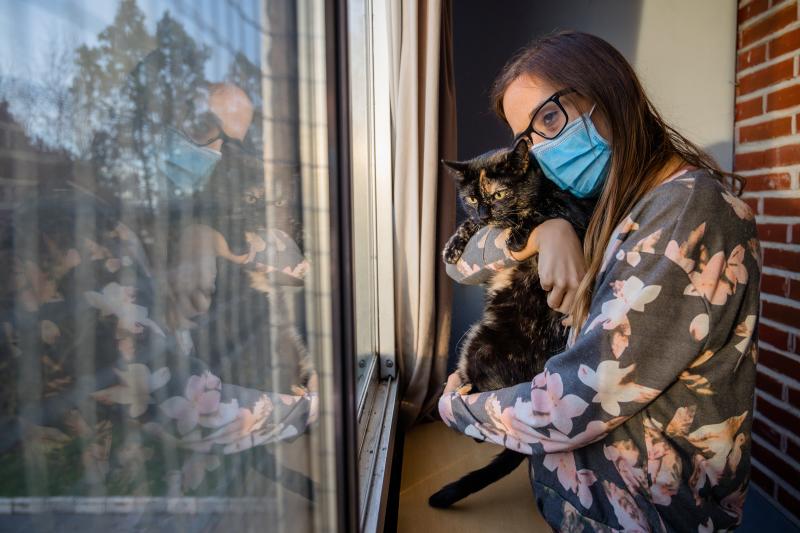 Fotos: La esperanza de los gatos sin hogar