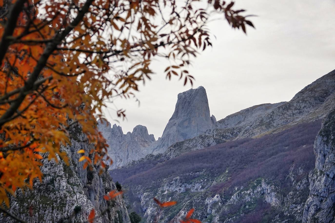 Fotos: El impresionante otoño en los Picos de Europa