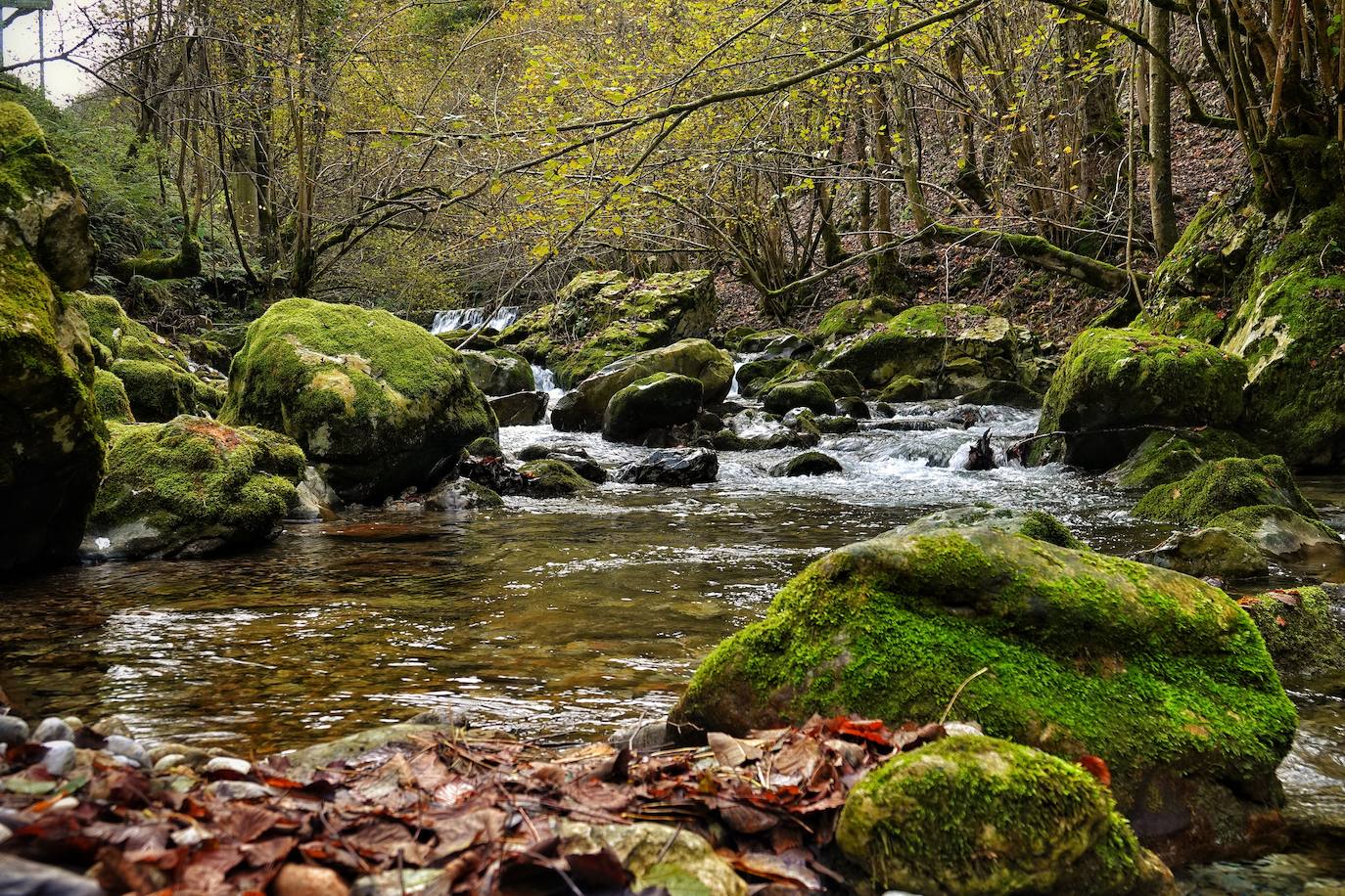 Fotos: El impresionante otoño en los Picos de Europa