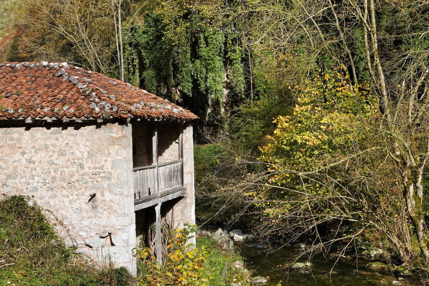 Fotos: El impresionante otoño en los Picos de Europa