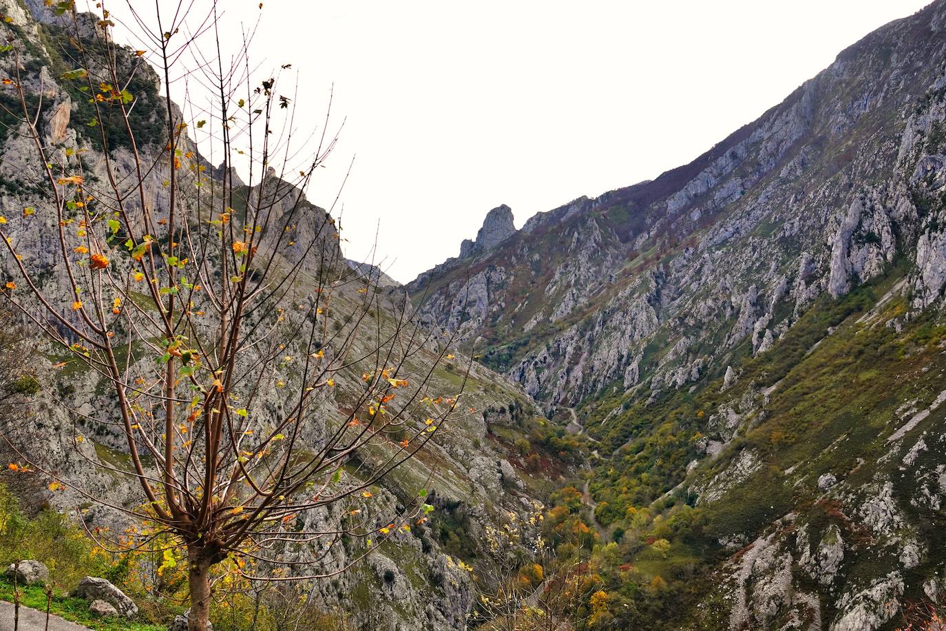 Fotos: El impresionante otoño en los Picos de Europa