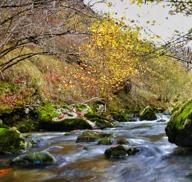 Fotos: El impresionante otoño en los Picos de Europa