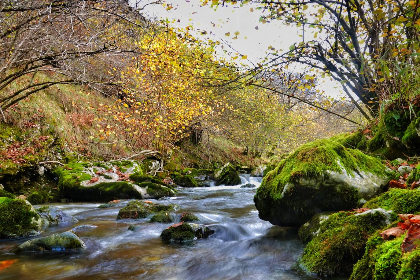 Fotos: El impresionante otoño en los Picos de Europa