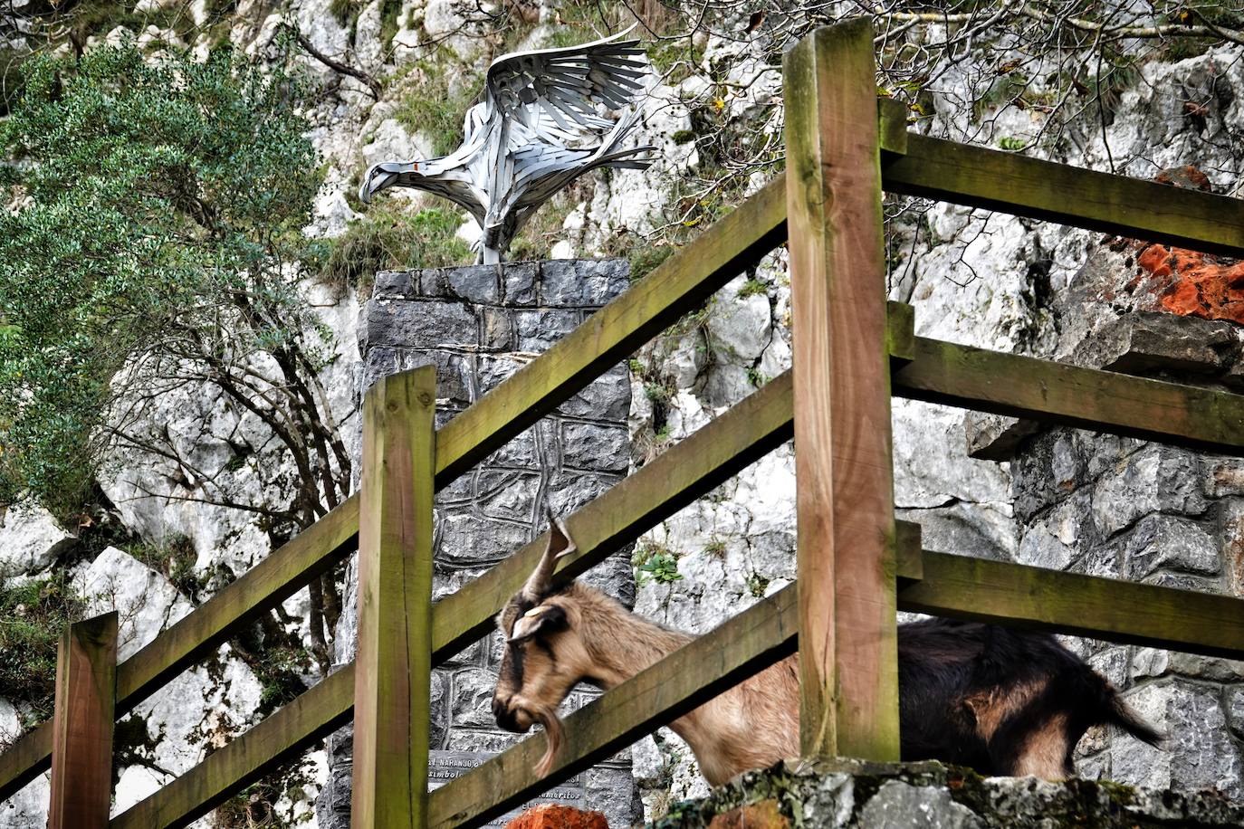 Fotos: El impresionante otoño en los Picos de Europa
