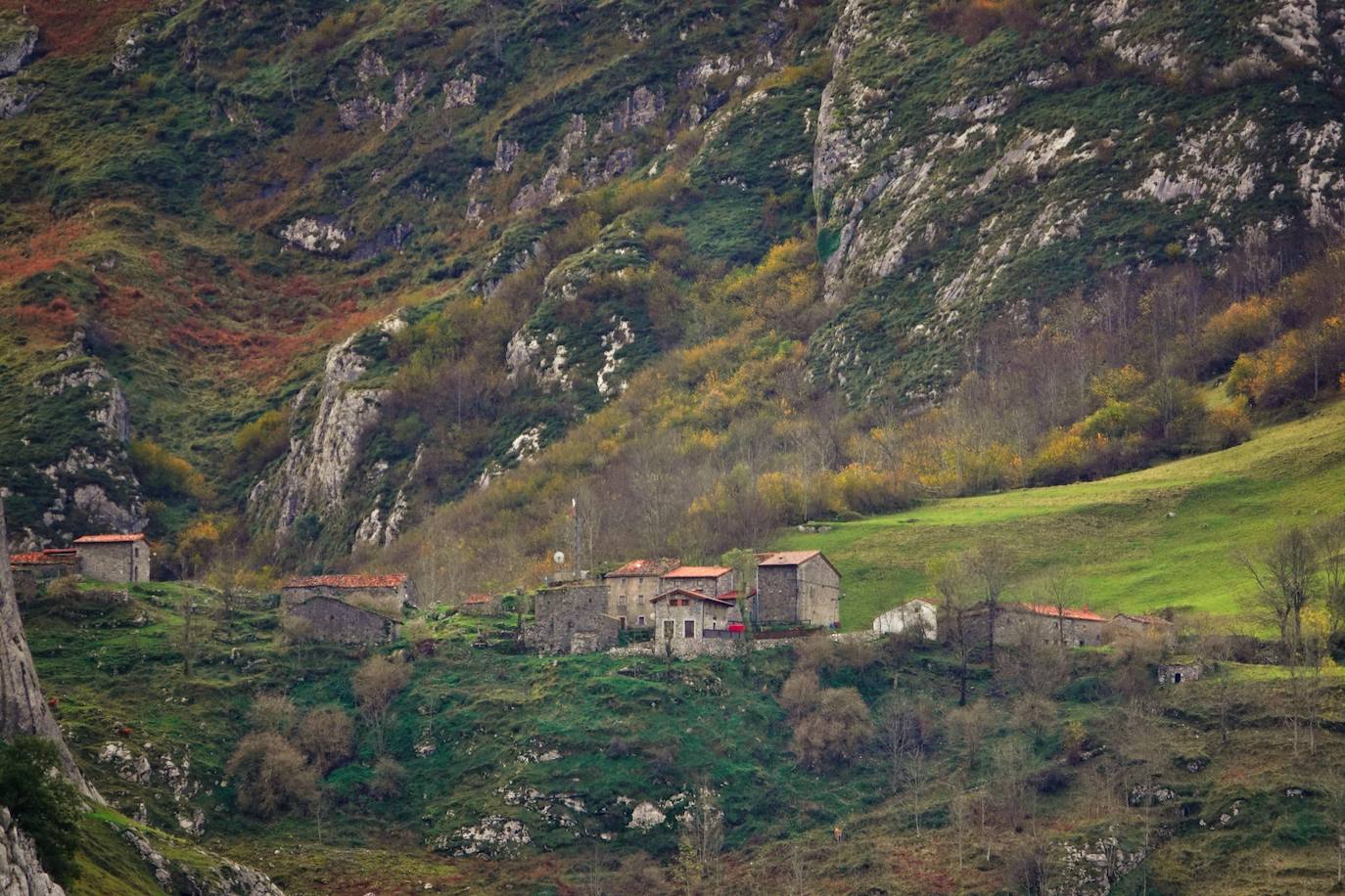 Fotos: El impresionante otoño en los Picos de Europa