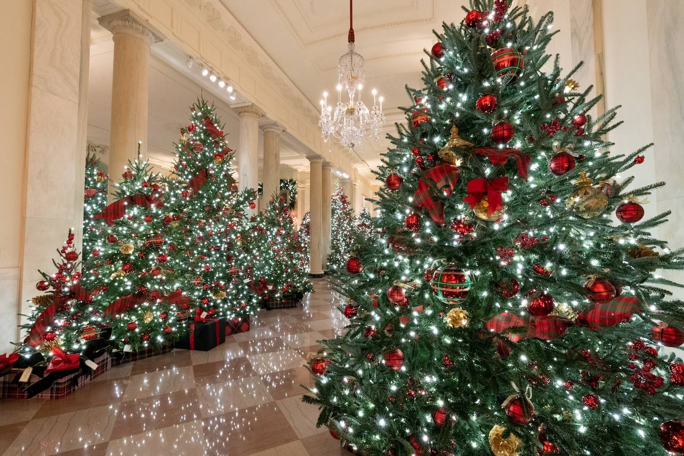 Fotos: La última Navidad de Melania Trump en la Casa Blanca