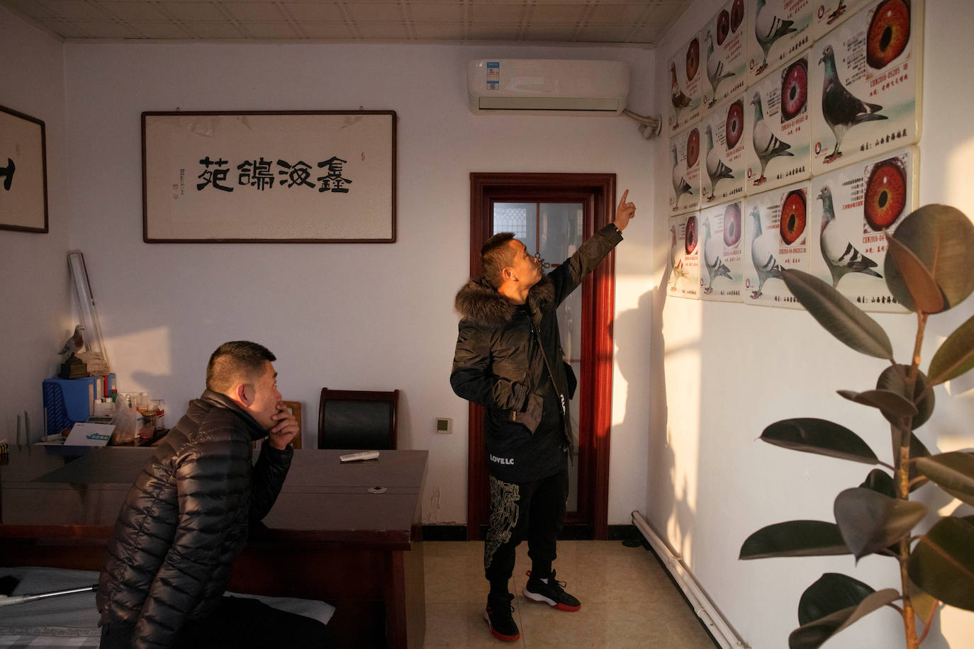 El criador y entrenador de palomas mensajeras Zhao Zhiqiang (derecha) y su amigo miran imágenes de palomas en el loft de su hermano en Taiyuan.