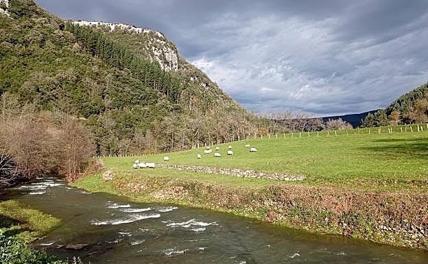 Bucólica imagen del río Agüera a su paso por Basinagre.
