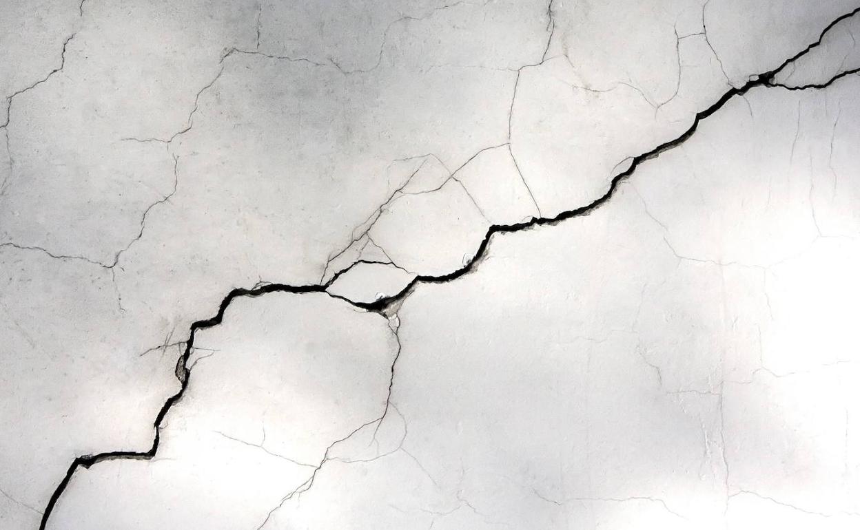 La zanahoria es la república