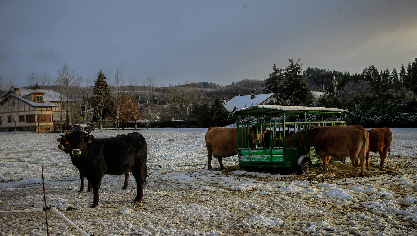 Fotos: Las imágenes que deja la nieve hoy en Álava