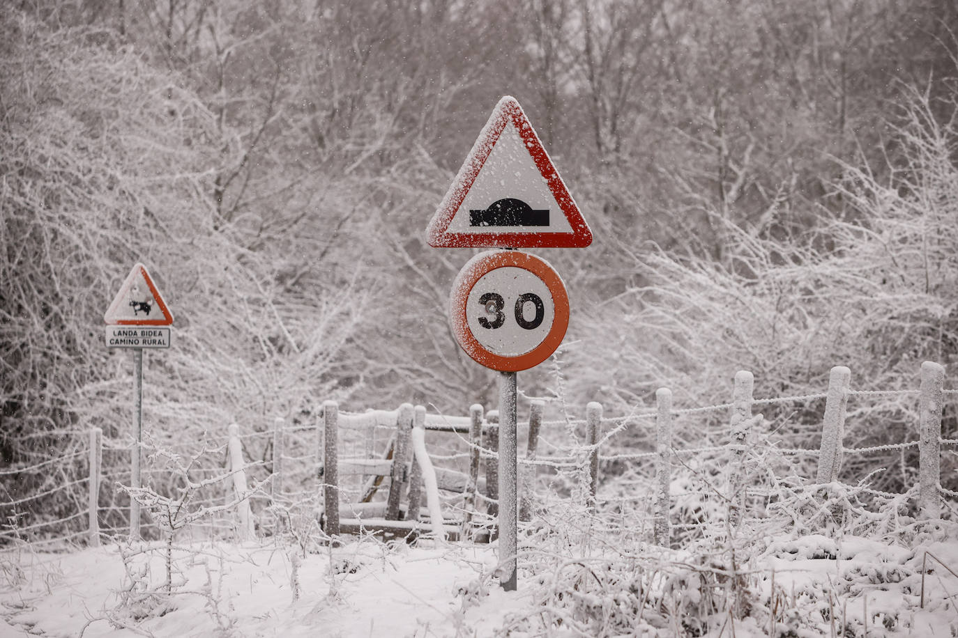 Fotos: Las imágenes que deja la nieve hoy en Álava