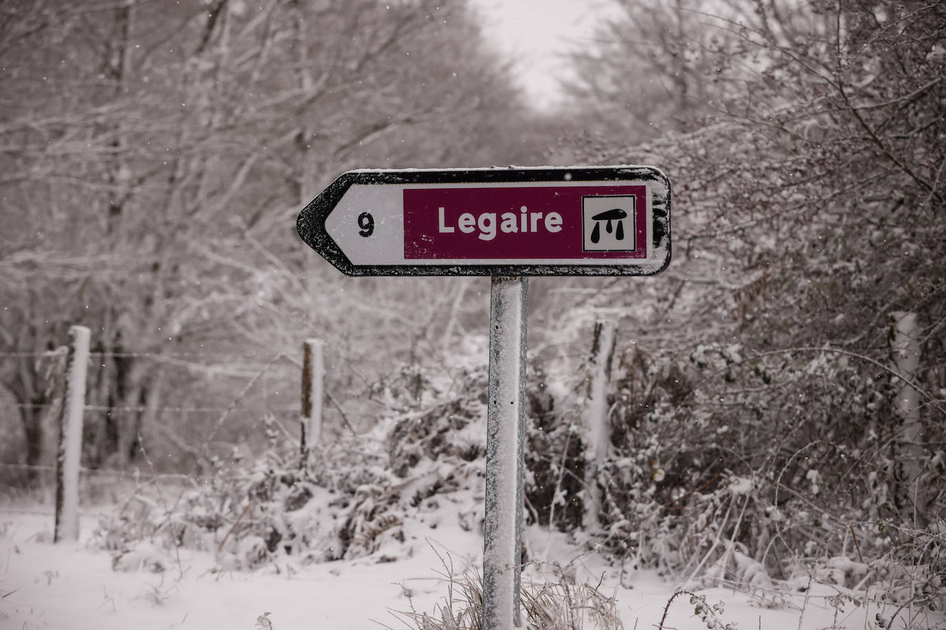 Fotos: Las imágenes que deja la nieve hoy en Álava