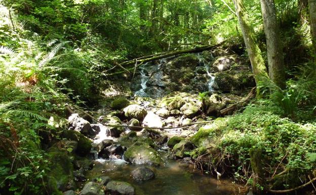 Sendero de la cascada de Baldatikaerreka.