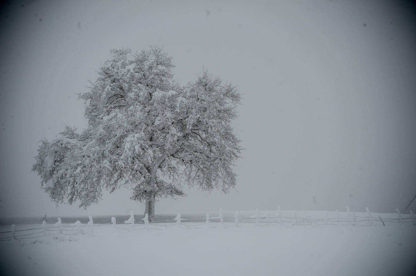 Fotos: Las imágenes del temporal a su paso por Álava