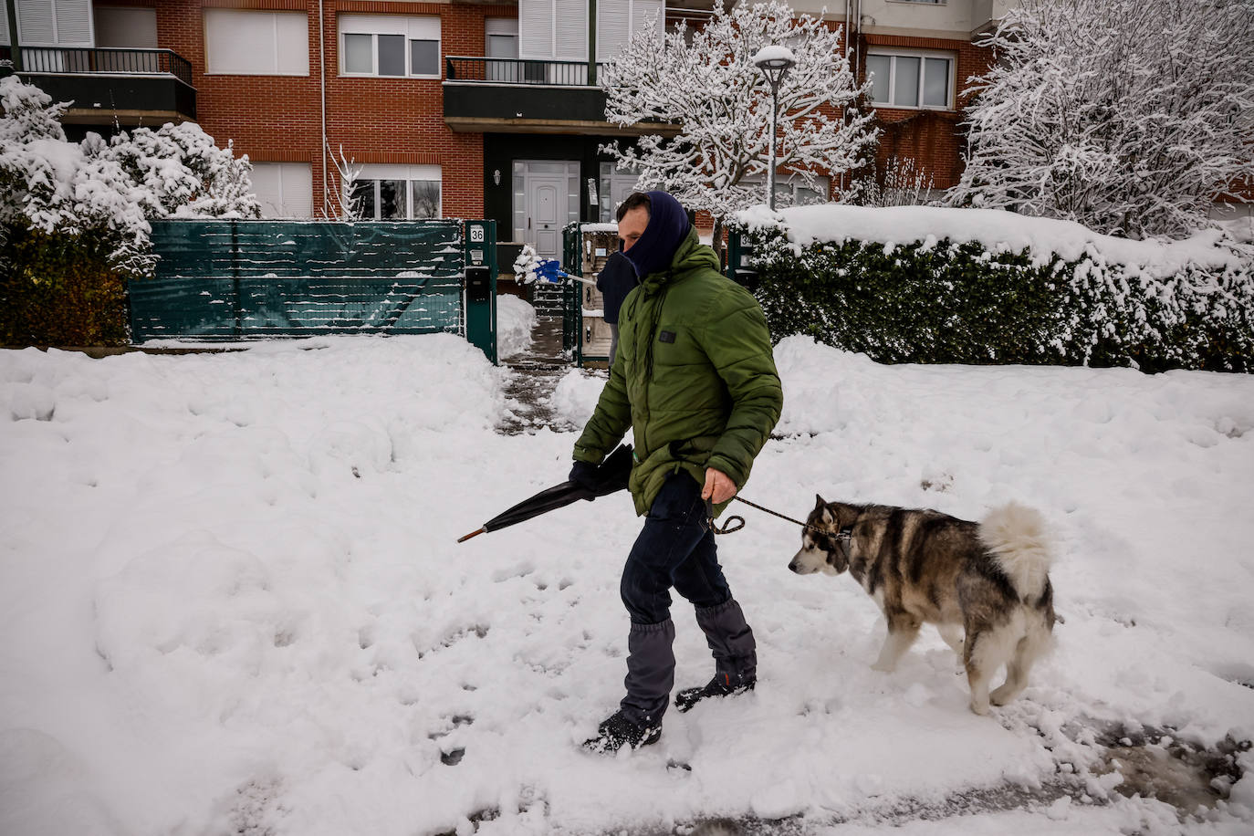 Fotos: La nieve vuelve a cubrir de blanco Álava