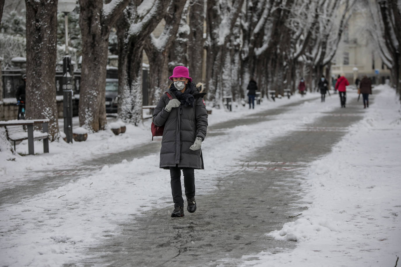 Fotos: La nieve vuelve a cubrir de blanco Álava