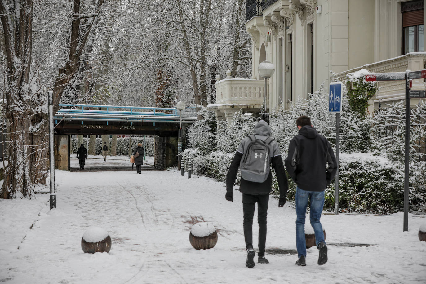 Fotos: La nieve vuelve a cubrir de blanco Álava