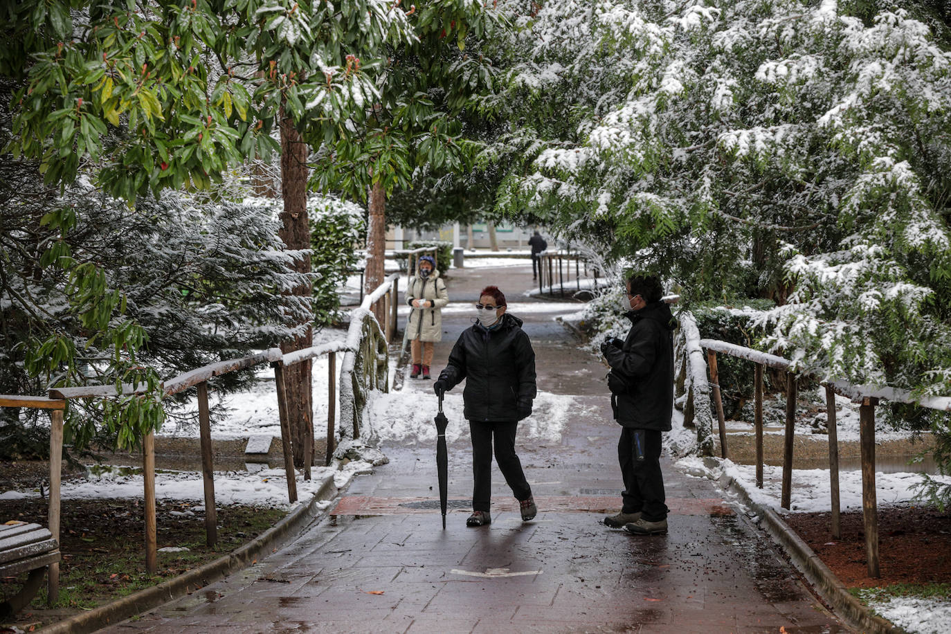 Fotos: La nieve vuelve a cubrir de blanco Álava