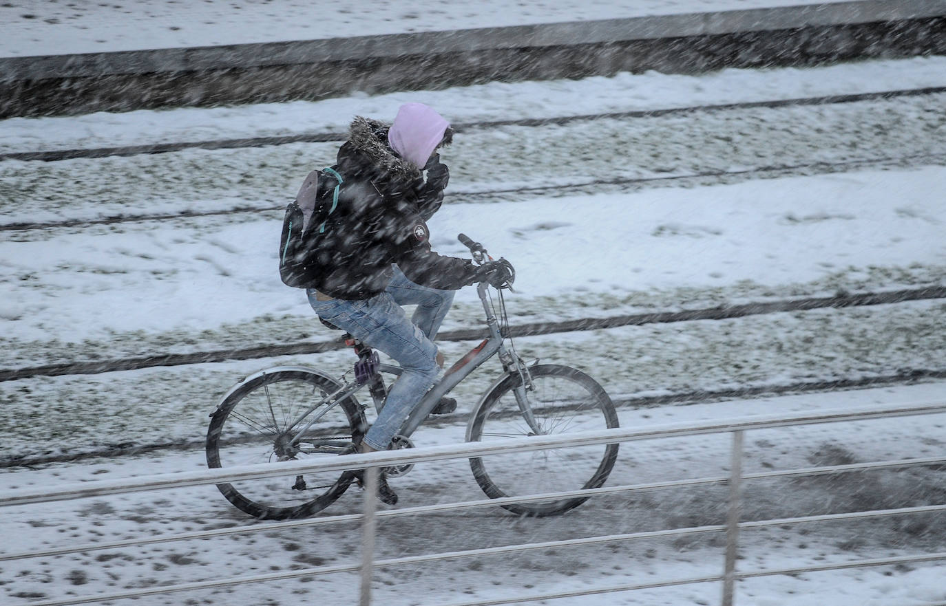 Fotos: La nieve vuelve a cubrir de blanco Álava