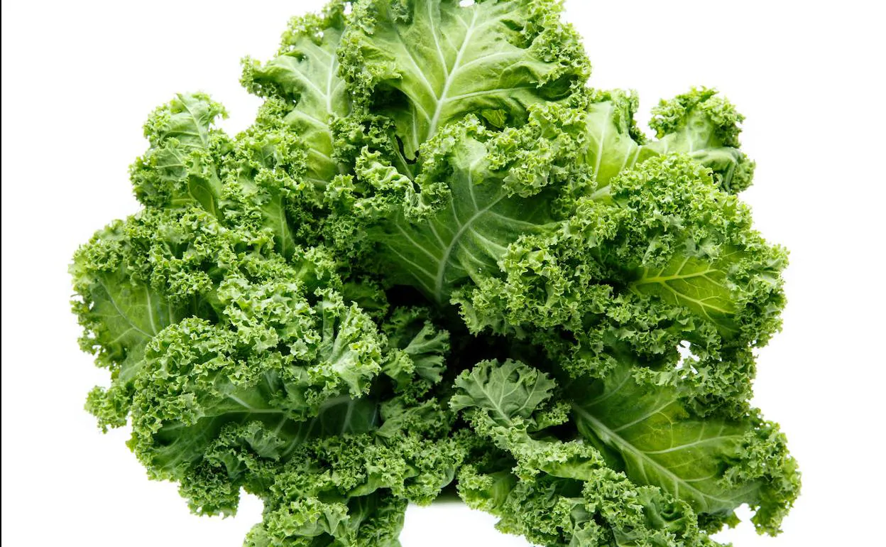Kale, la berza bendita por los gurús | El Correo