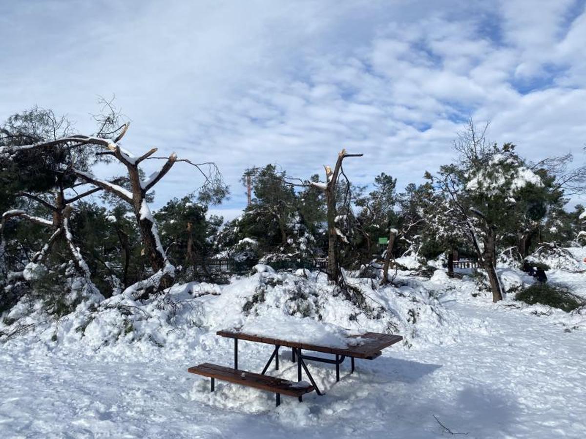 Paisaje nevado en la Casa de Campo, en Madrid