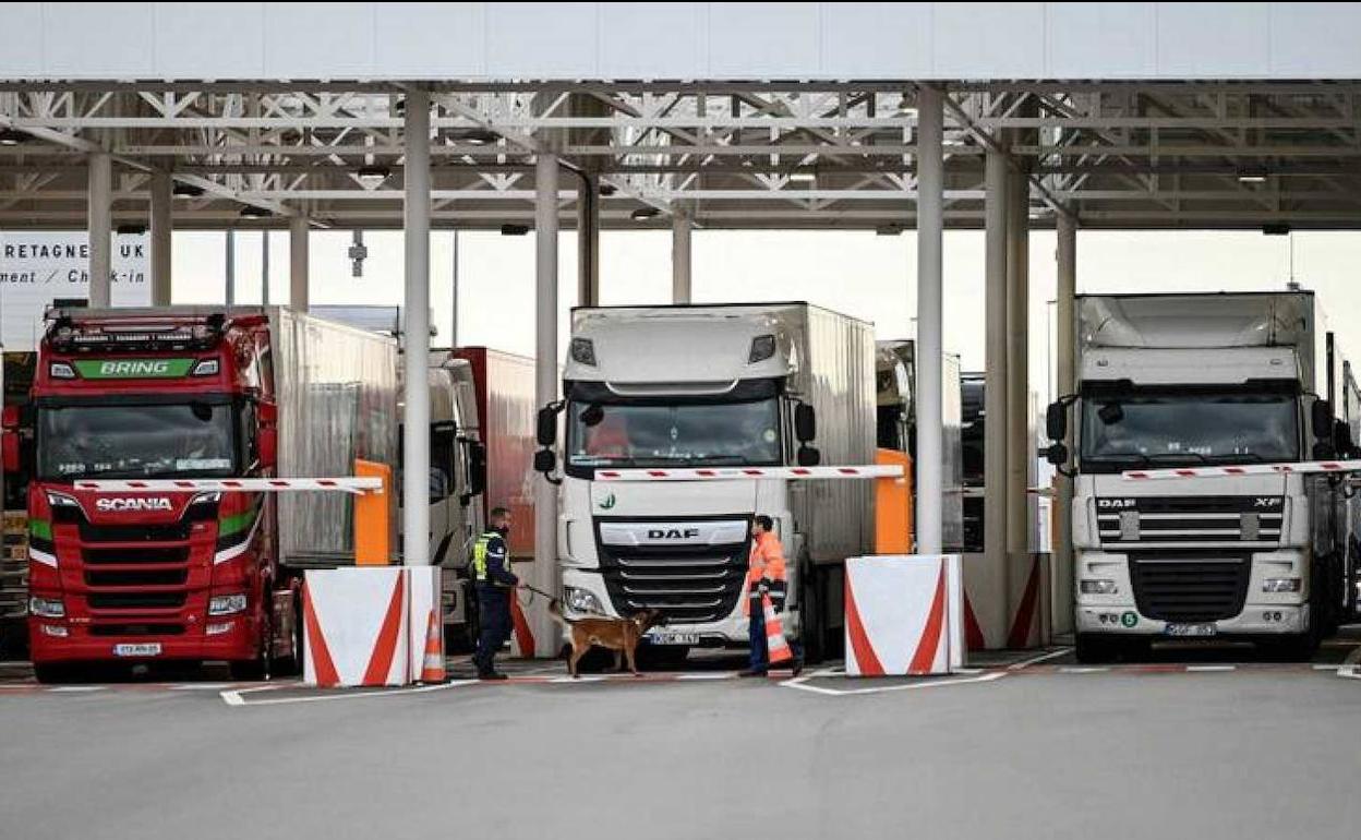 Camiones en la frontera de Calais (Francia) para entrar en el Eurotúnel.