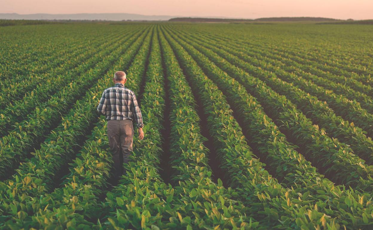 La agricultura: Planas llama a alcanzar un «gran acuerdo nacional» por la agricultura
