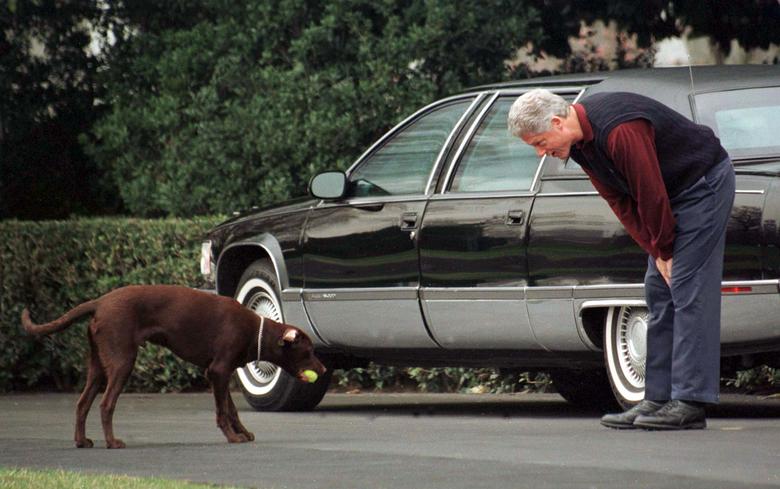 El labrador retriever chocolate de los Clinton, Buddy, se unió a Cat Socks en la Casa Blanca. El presidente Clinton intenta que su perro Buddy le devuelva una pelota mientras juegan un juego de búsqueda en el jardín sur de la Casa Blanca el 2 de marzo de 1998. 