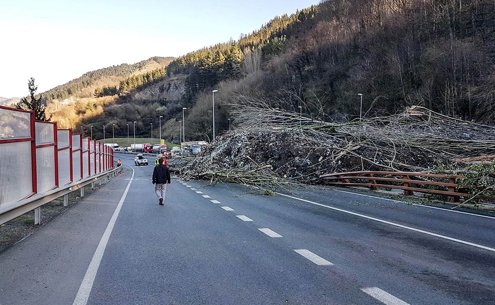 Nada más conocerse la desgracia, los servicios de emergencias acudieron al lugar para buscar a los posibles atrapados. No se sabía cuántas personas podían haber quedado bajo los escombros. Con el paso de las horas se confirmó que eran dos: Alberto y Joaquín. El cuerpo del primero se encontró en agosto. Al segundo aún se le sigue buscando peinando metro por metro la ladera.
