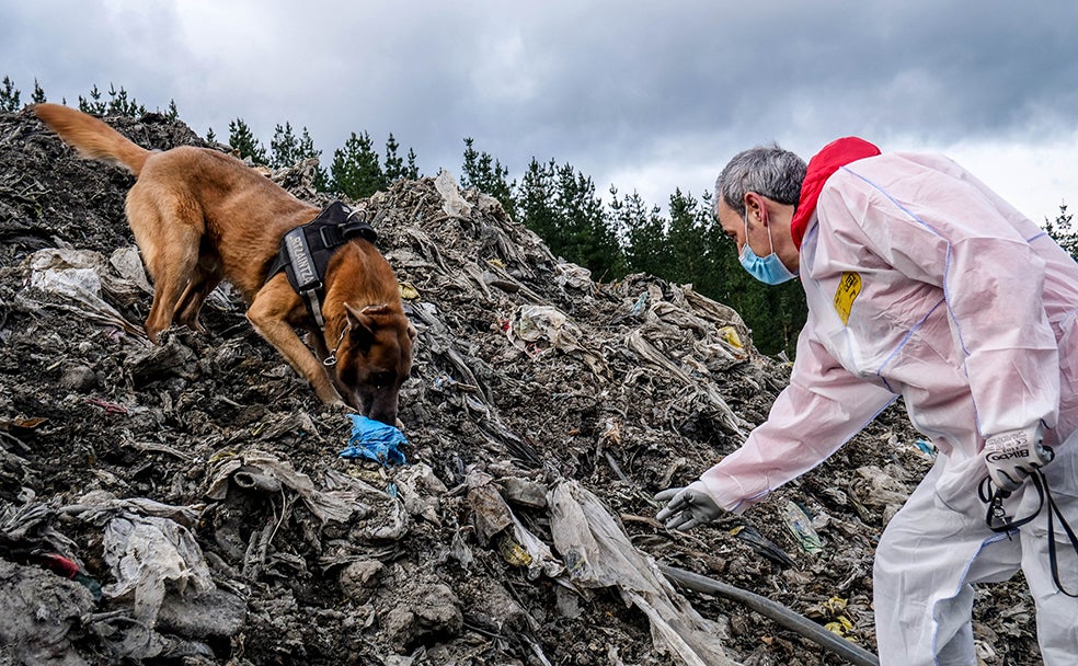 Los perros han jugado y juegan un papel importante en el operativo. Son ellos los que marcan zonas donde huelen restos que podrían ser humanos. Entonces, los operarios realizan un cribado más exhaustivo. 