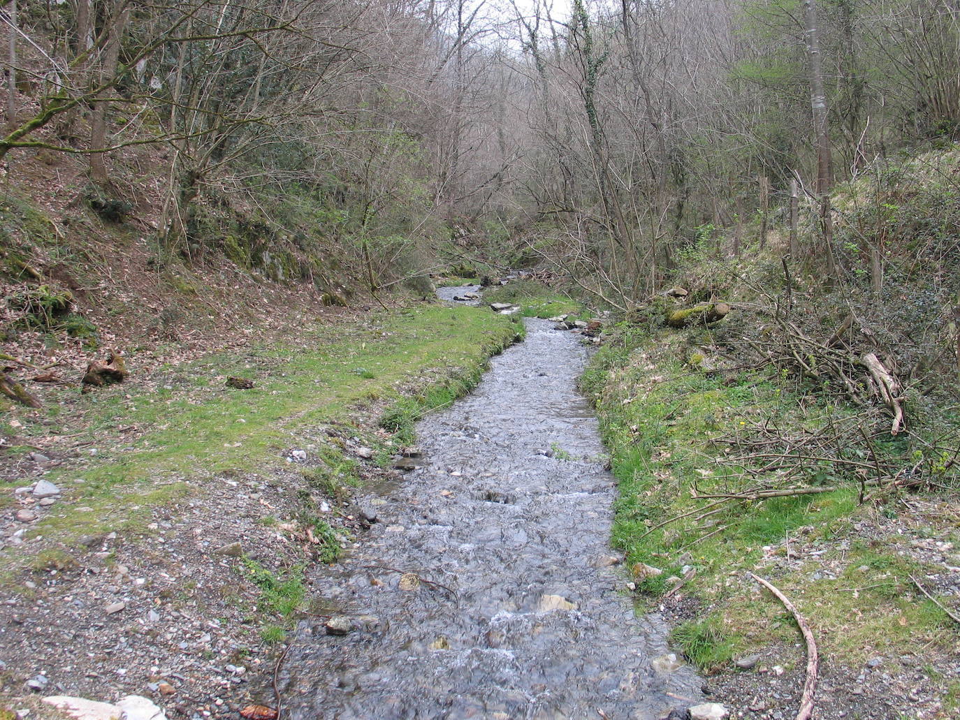 2.- Bosque de San Juan Xar (Navarra) | Fue declarado Reserva Natural en 1987. Entre sus árboles se esconde una singular ermita con la imagen de San Juan Bautista y una fuente de la que, dice la tradición, mana agua con propiedades curativas.