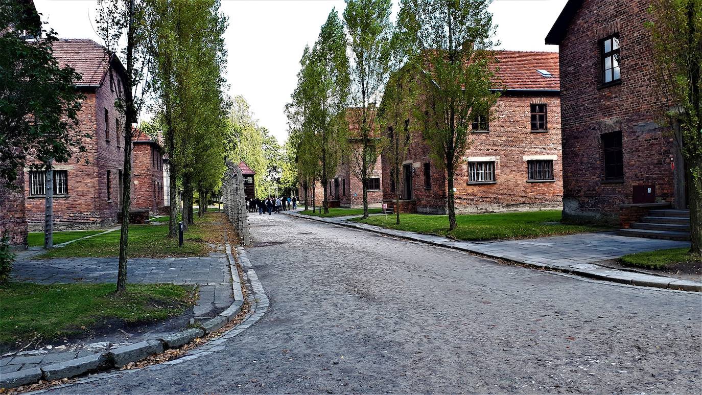 9.- Auschwitz-Birkenau (Oswiecim, Polonia) 