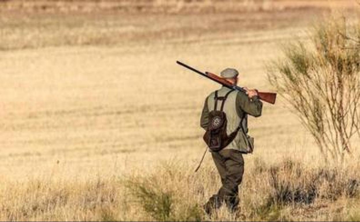 Soluciones, no prohibiciones