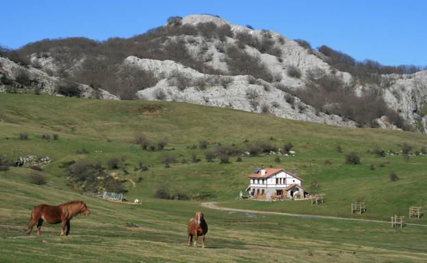 Caballos en las campas de Arraba, antesala del acceso al Gorbeia desde Bizkaia.
