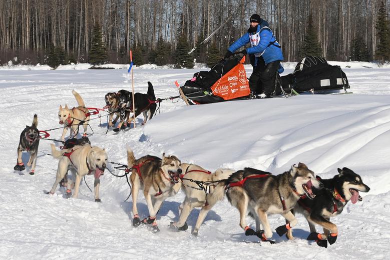 con cuantos perros tienes que acabar en el iditarod