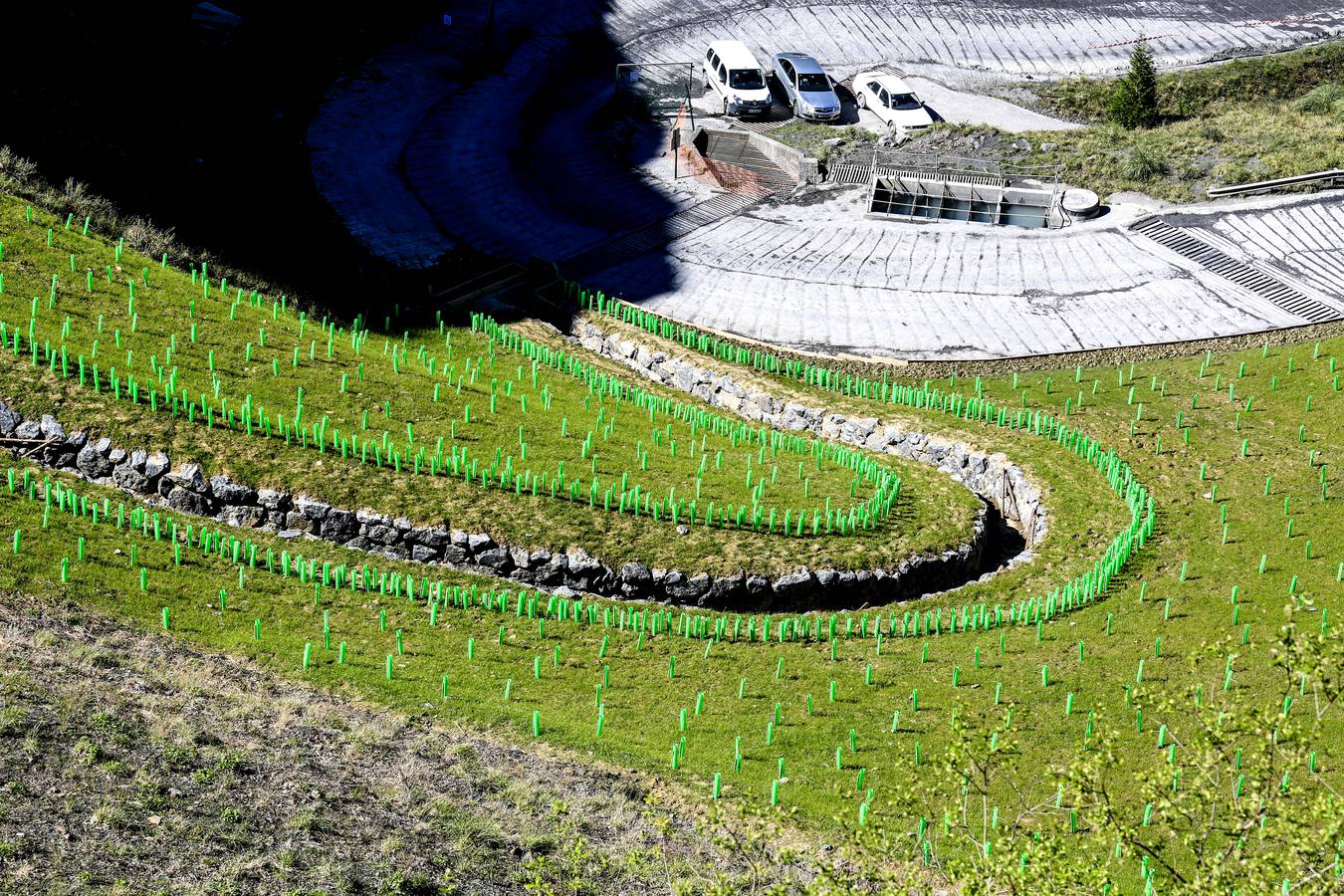 Fotos: La cantera del Peñascal será pronto un robledal