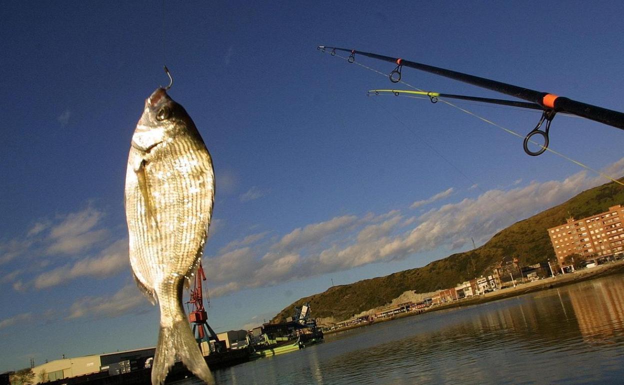 La reina de las rompientes