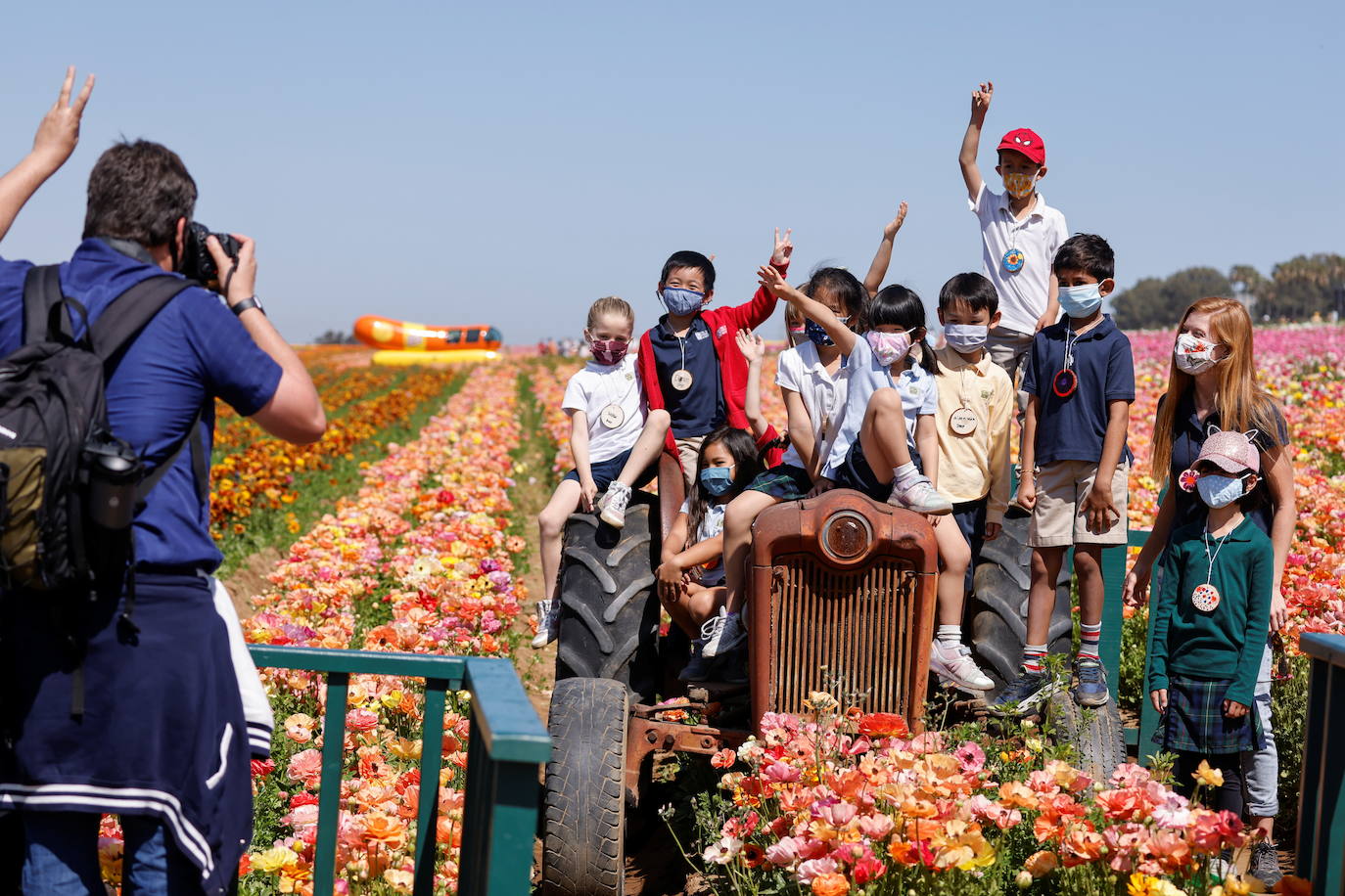 Fotos: Campos de flores de cuento en San Diego (California)