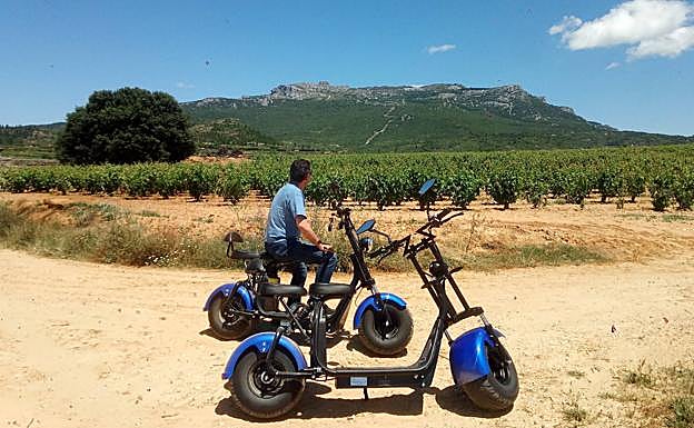 Los viñedos y la Sierra Cantabria enmarcan los recorridos en moto por Labastida.