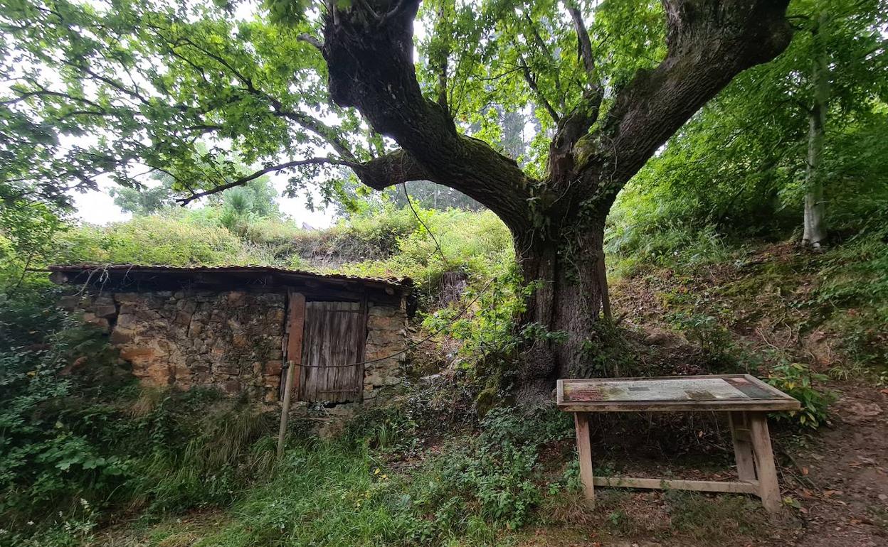 Calero de Mintegieta. también se va a rehabiltiar en la zona. 