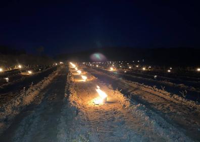 Imagen secundaria 1 - Fuego contra las heladas en Rioja Alavesa