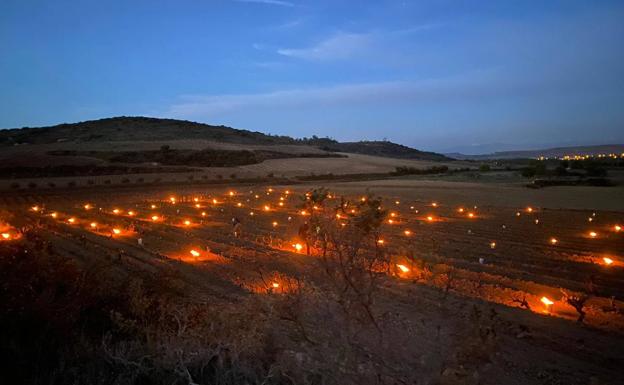 Imagen principal - Fuego contra las heladas en Rioja Alavesa