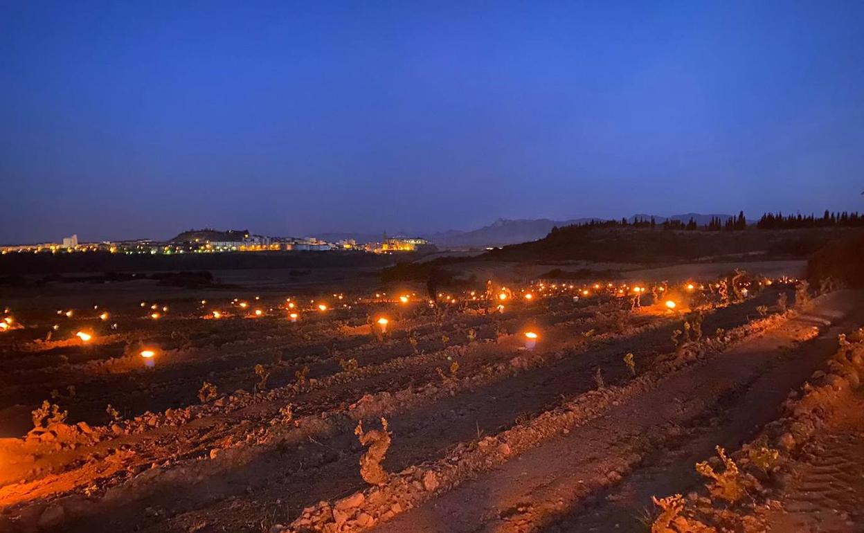 Velas encendidas esta pasada noche en un viñedo de Bodegas Tierra, en Labastida, para evitar que las heladas dañaran la viña.