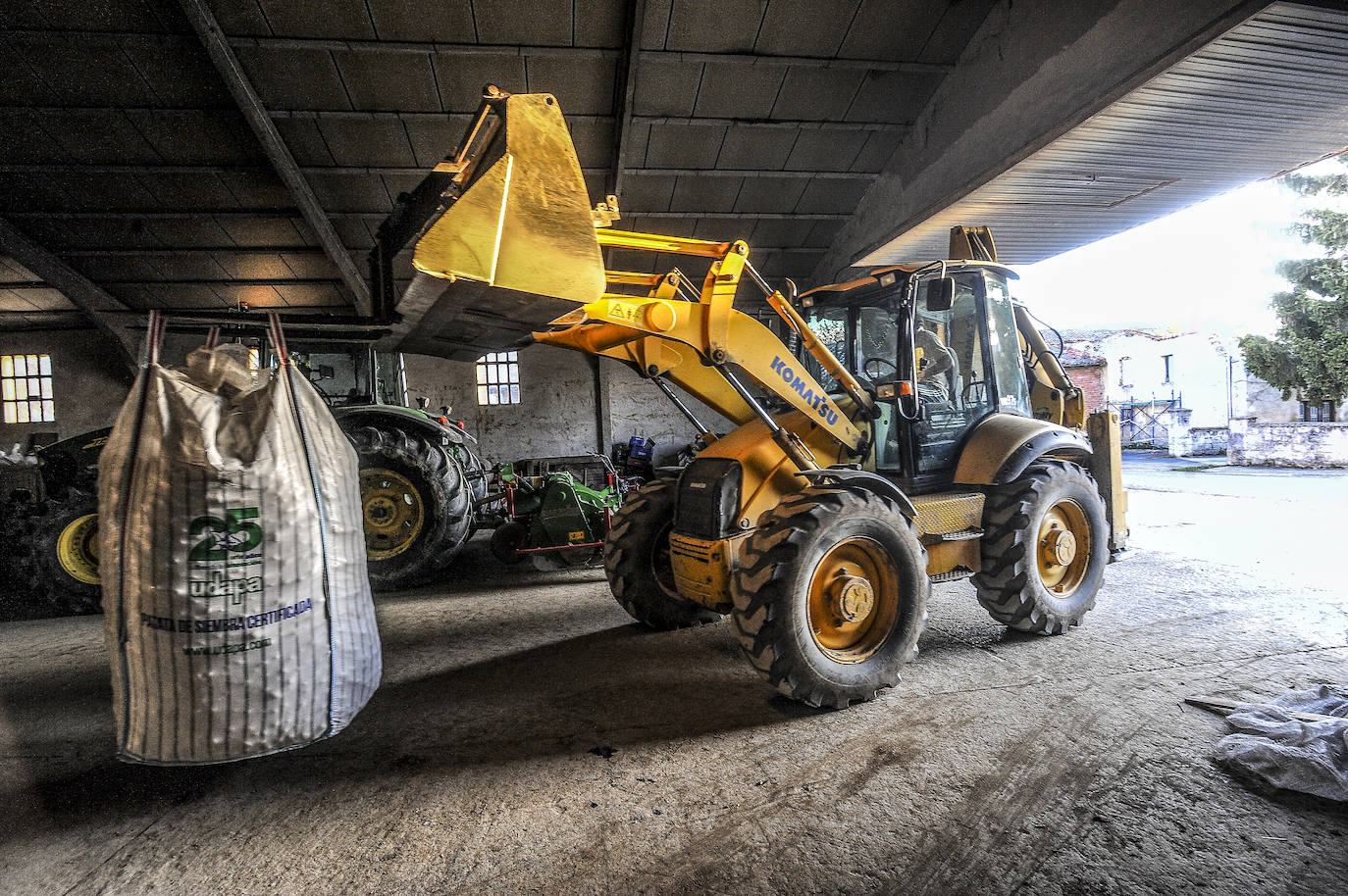 Fotos: Nacerán y se llamarán Monalisa y Lucinda