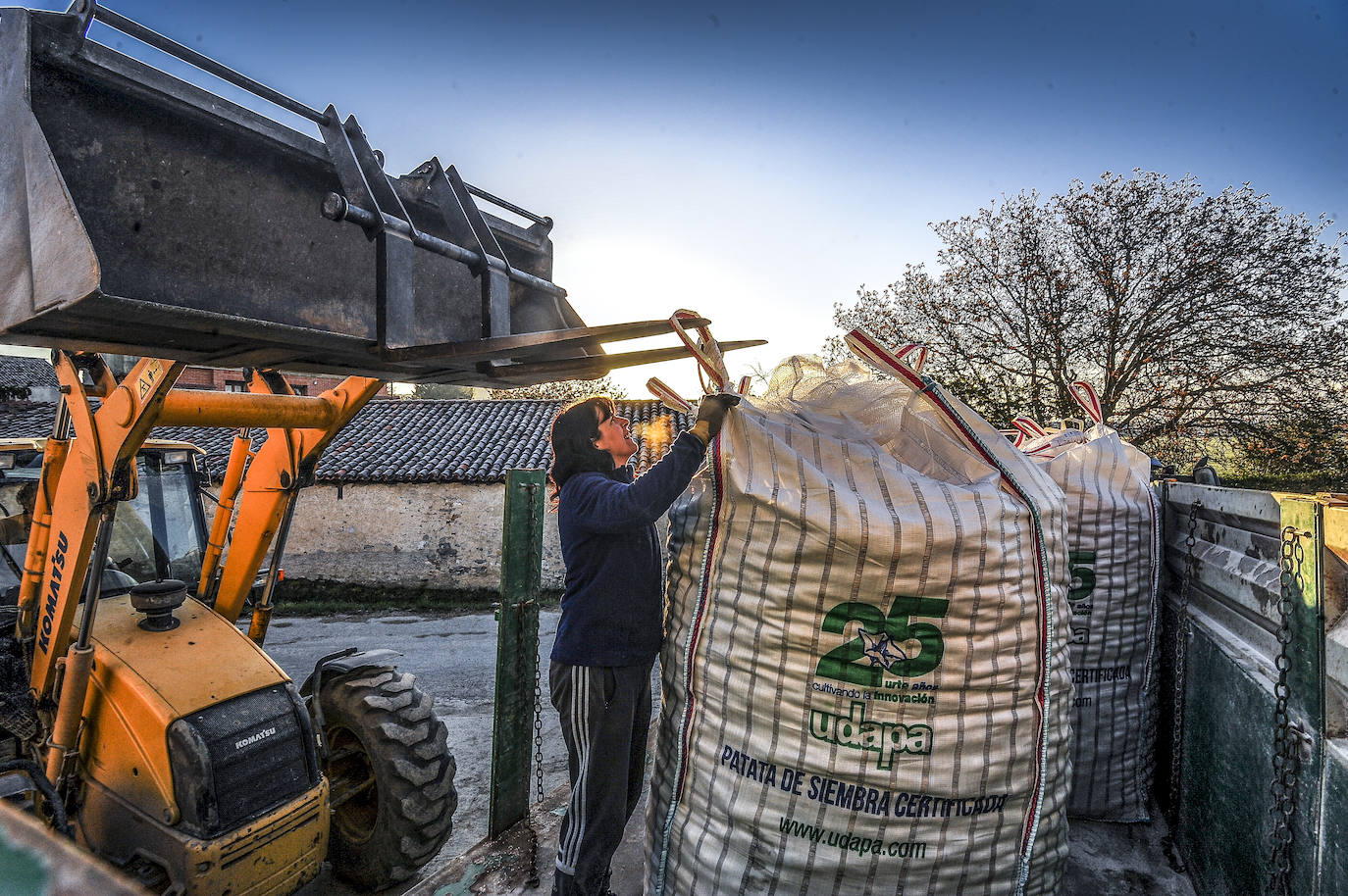 Fotos: Nacerán y se llamarán Monalisa y Lucinda