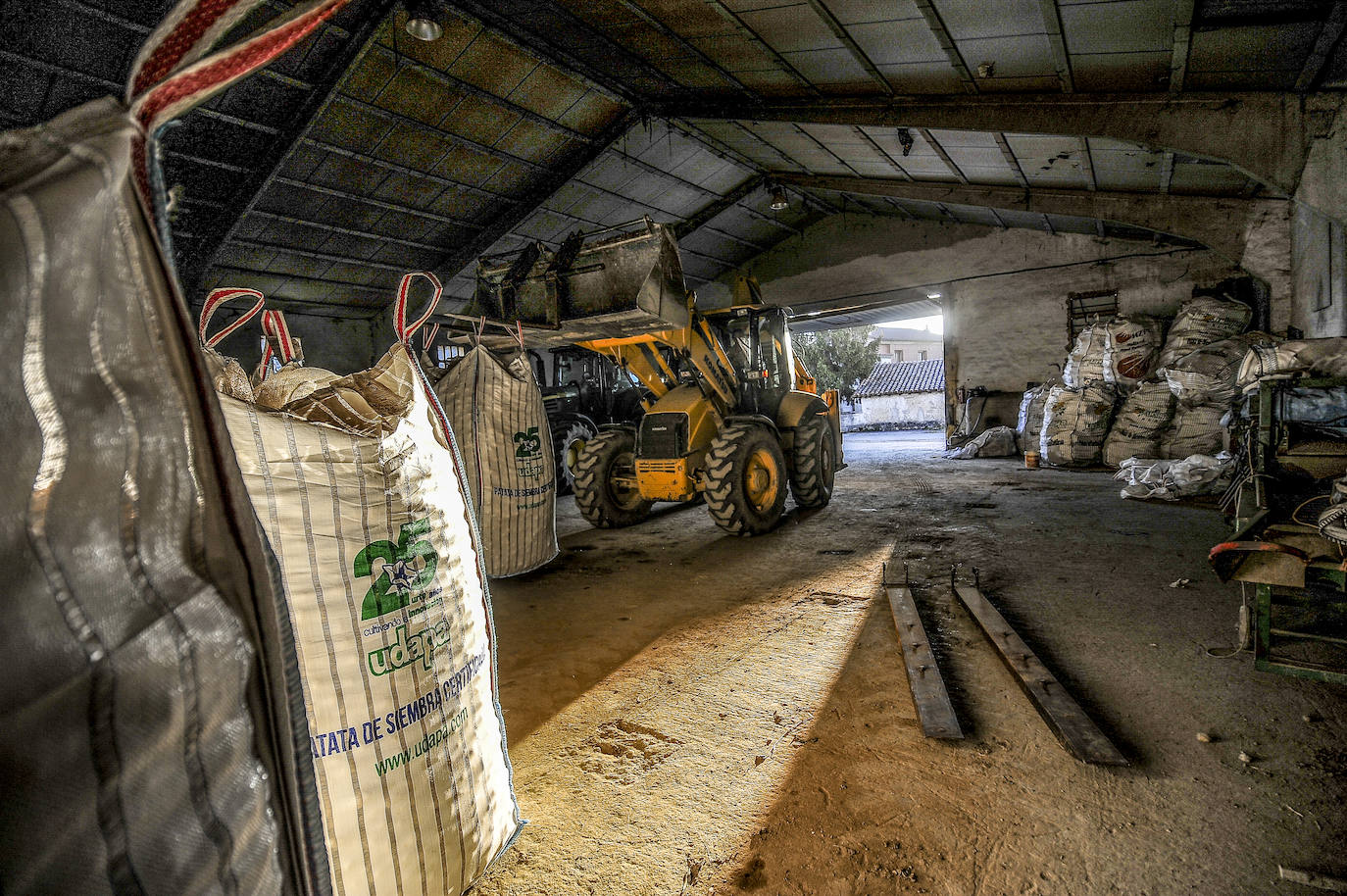 Fotos: Nacerán y se llamarán Monalisa y Lucinda