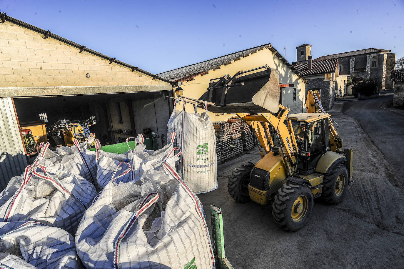 Fotos: Nacerán y se llamarán Monalisa y Lucinda